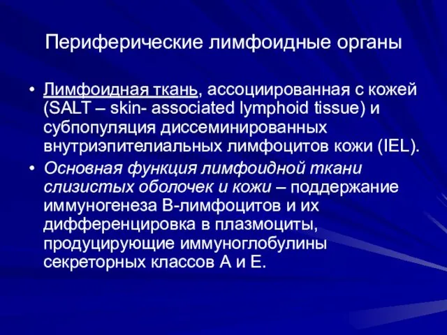 Периферические лимфоидные органы Лимфоидная ткань, ассоциированная с кожей (SALT –