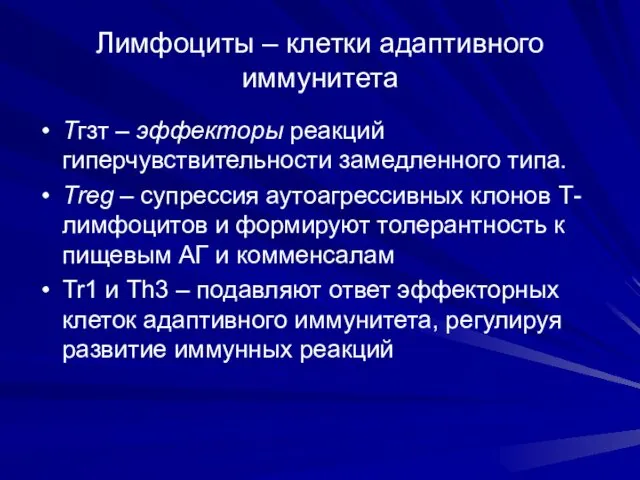 Лимфоциты – клетки адаптивного иммунитета Тгзт – эффекторы реакций гиперчувствительности