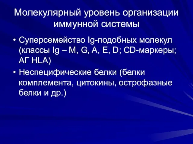 Молекулярный уровень организации иммунной системы Суперсемейство Ig-подобных молекул (классы Ig