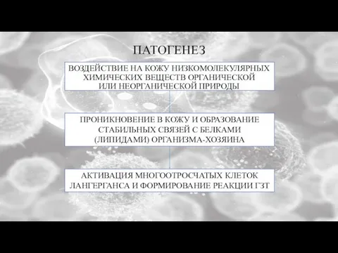 ПАТОГЕНЕЗ ВОЗДЕЙСТВИЕ НА КОЖУ НИЗКОМОЛЕКУЛЯРНЫХ ХИМИЧЕСКИХ ВЕЩЕСТВ ОРГАНИЧЕСКОЙ ИЛИ НЕОРГАНИЧЕСКОЙ ПРИРОДЫ ПРОНИКНОВЕНИЕ В