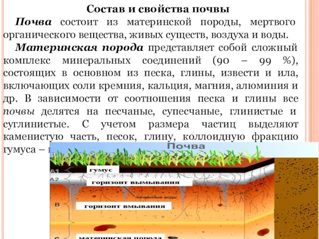 Состав и свойства почвы Почва состоит из материнской породы, мертвого органического вещества, живых