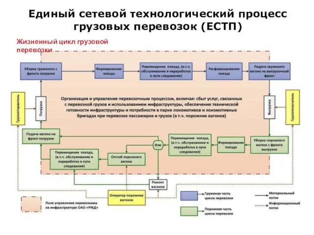 Единый сетевой технологический процесс грузовых перевозок (ЕСТП) Жизненный цикл грузовой перевозки