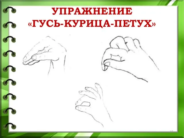 УПРАЖНЕНИЕ «ГУСЬ-КУРИЦА-ПЕТУХ»