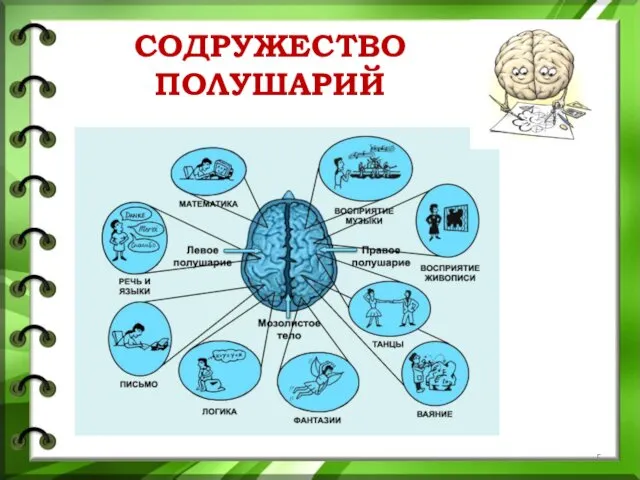 СОДРУЖЕСТВО ПОЛУШАРИЙ