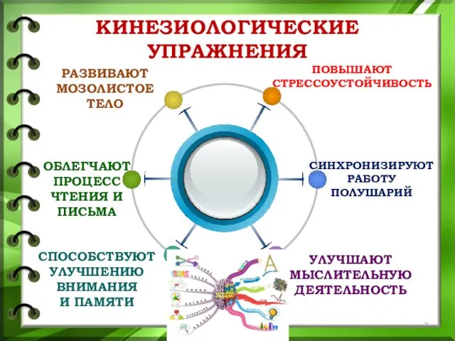 КИНЕЗИОЛОГИЧЕСКИЕ УПРАЖНЕНИЯ ПОВЫШАЮТ СТРЕССОУСТОЙЧИВОСТЬ РАЗВИВАЮТ МОЗОЛИСТОЕ ТЕЛО СИНХРОНИЗИРУЮТ РАБОТУ ПОЛУШАРИЙ