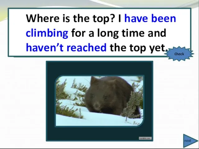 Where is the top? I (climb) for a long time