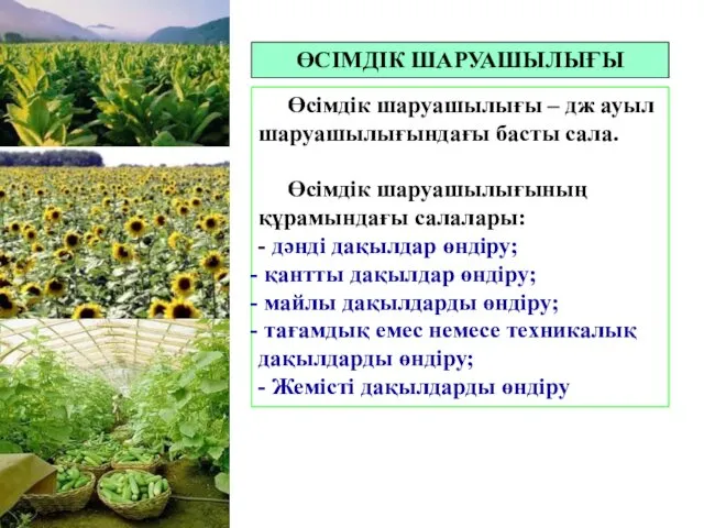 ӨСІМДІК ШАРУАШЫЛЫҒЫ Өсімдік шаруашылығы – дж ауыл шаруашылығындағы басты сала.