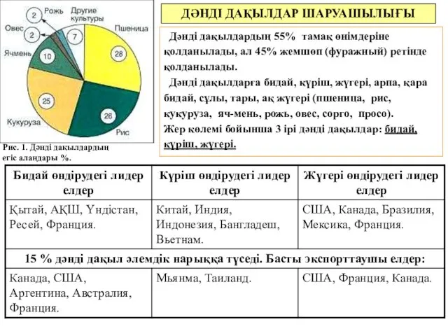 ДӘНДІ ДАҚЫЛДАР ШАРУАШЫЛЫҒЫ Дәнді дақылдардың 55% тамақ өнімдеріне қолданылады, ал