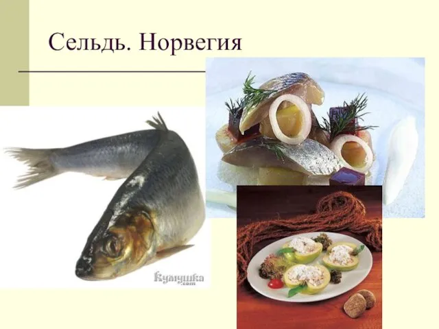 Сельдь. Норвегия