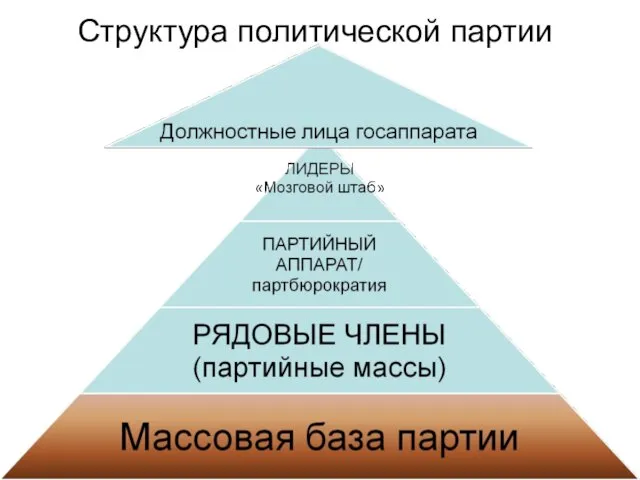 Структура политической партии