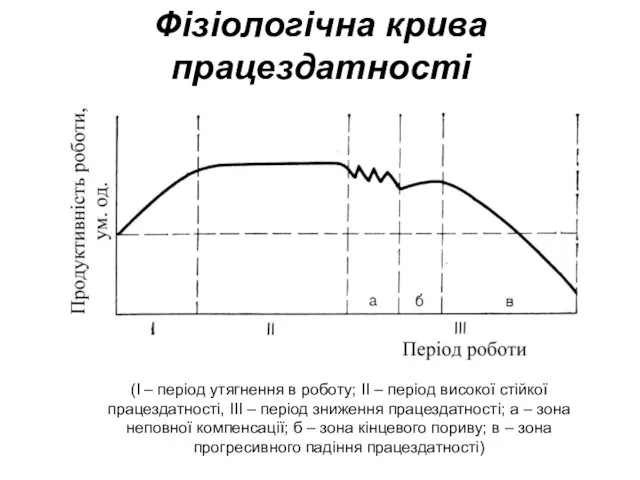 Фізіологічна крива працездатності (I – період утягнення в роботу; II