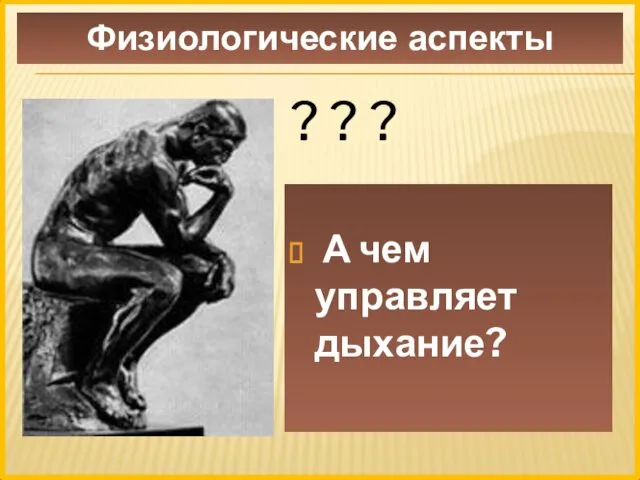 ? ? ? А чем управляет дыхание? Физиологические аспекты