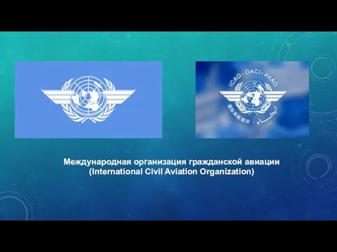 Международная организация гражданской авиации (International Civil Aviation Organization)
