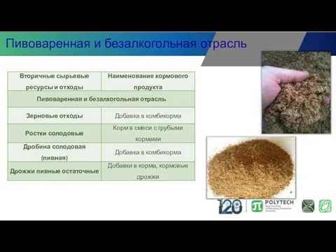 Пивоваренная и безалкогольная отрасль