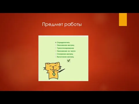 Предмет работы