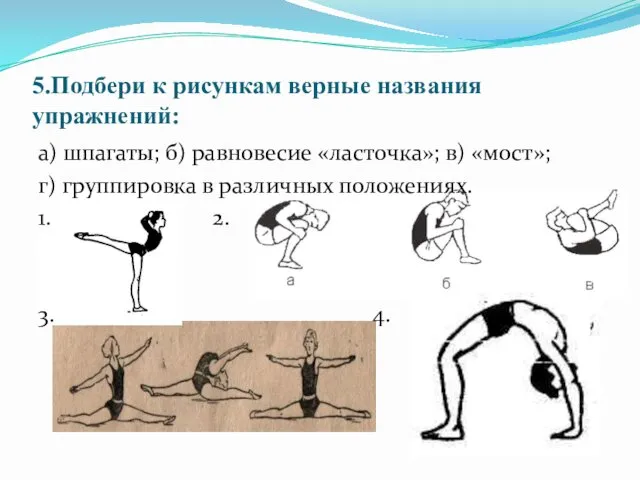 5.Подбери к рисункам верные названия упражнений: а) шпагаты; б) равновесие