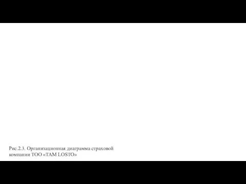 Рис.2.3. Организационная диаграмма страховой компании ТОО «TAM LOSTO»