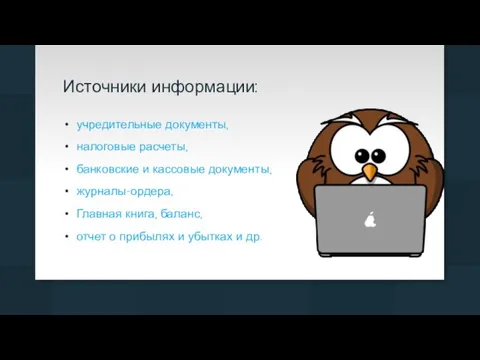 Источники информации: учредительные документы, налоговые расчеты, банковские и кассовые документы,