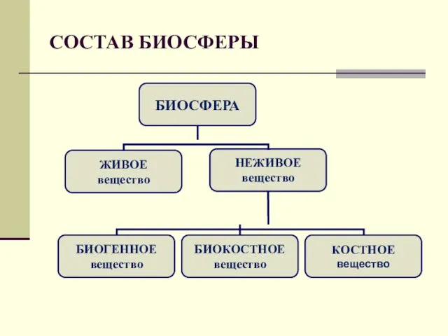 СОСТАВ БИОСФЕРЫ