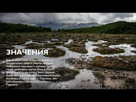 ЗНАЧЕНИЯ Водно-болотными угодьями являются мелководные озёра и участки морских побережий,