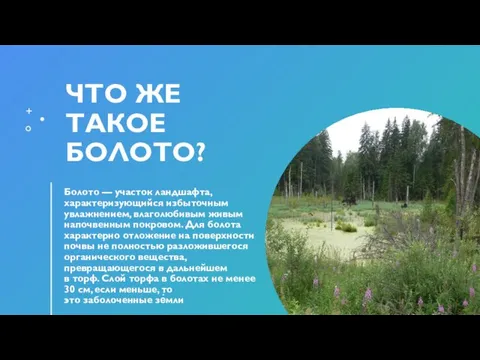 ЧТО ЖЕ ТАКОЕ БОЛОТО? Болото — участок ландшафта, характеризующийся избыточным