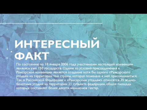 ИНТЕРЕСНЫЙ ФАКТ По состоянию на 18 января 2006 года участниками