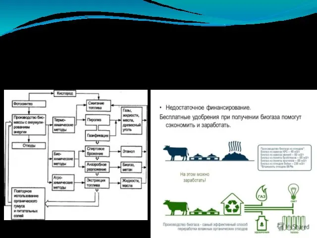 Биоэнергетика. Биоэнергетика - отрасль электроэнергетики, основанная на использовании биотоплива из