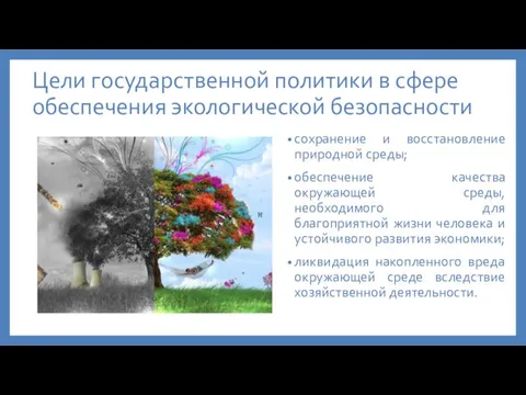 Цели государственной политики в сфере обеспечения экологической безопасности сохранение и