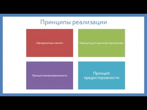 Принципы реализации «Загрязнитель платит» Принцип долгосрочной перспективы Принцип взаимозависимости Принцип предосторожности