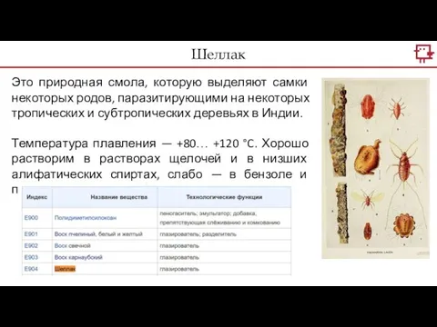 Это природная смола, которую выделяют самки некоторых родов, паразитирующими на