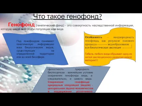 Что такое генофонд? Генофонд (генетический фонд) - это совокупность наследственной