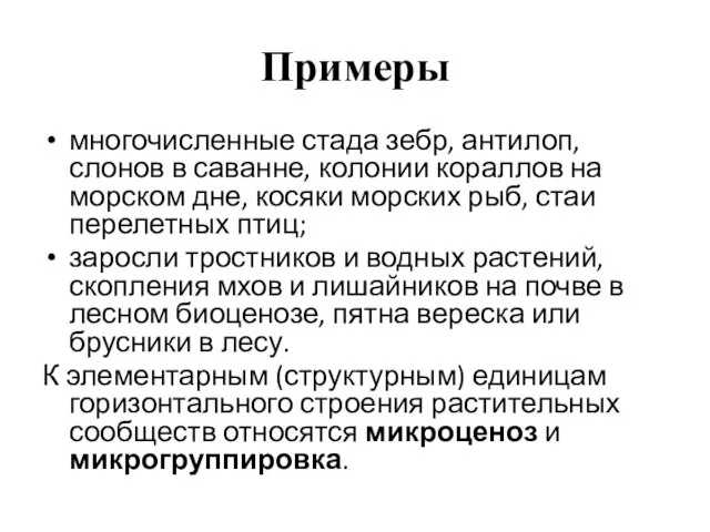 Примеры многочисленные стада зебр, антилоп, слонов в саванне, колонии кораллов