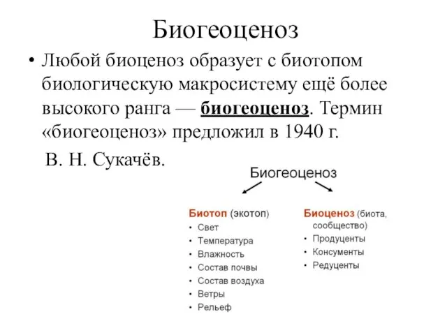 Биогеоценоз Любой биоценоз образует с биотопом биологическую макросистему ещё более