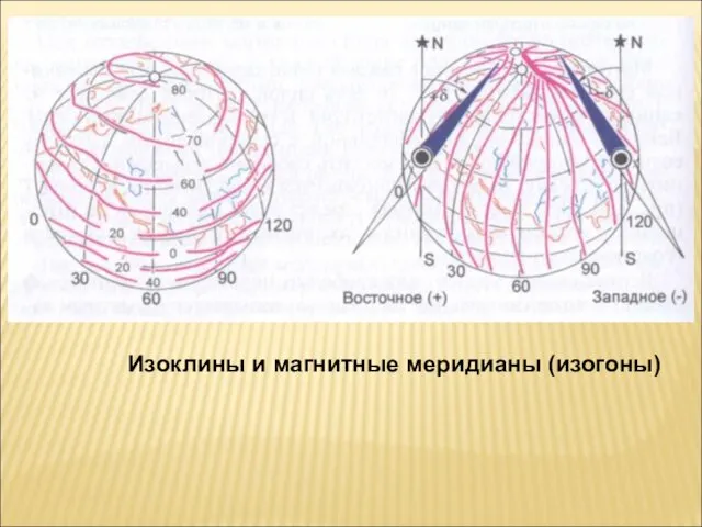 Изоклины и магнитные меридианы (изогоны)