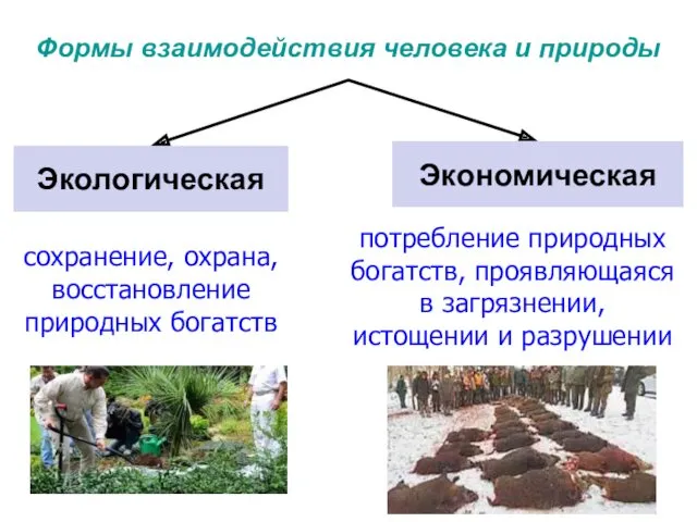 Формы взаимодействия человека и природы сохранение, охрана, восстановление природных богатств