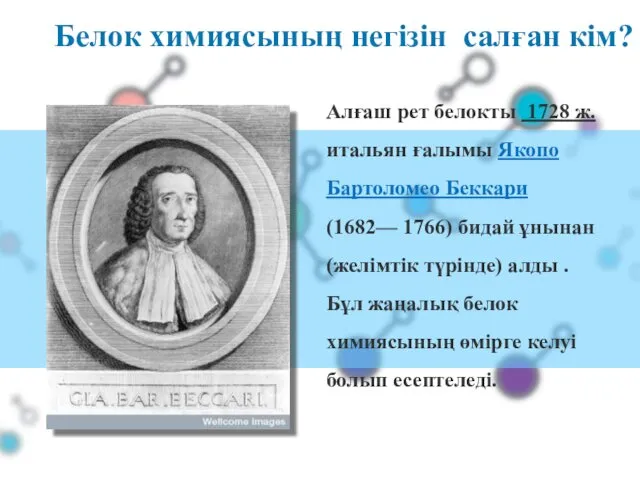 Белок химиясының негізін салған кім? Алғаш рет белокты 1728 ж.