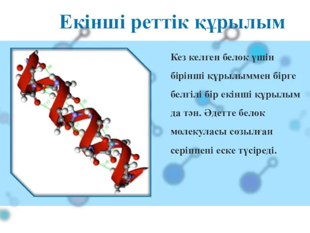 Екінші реттік құрылым Кез келген белок үшін бірінші құрылыммен бірге