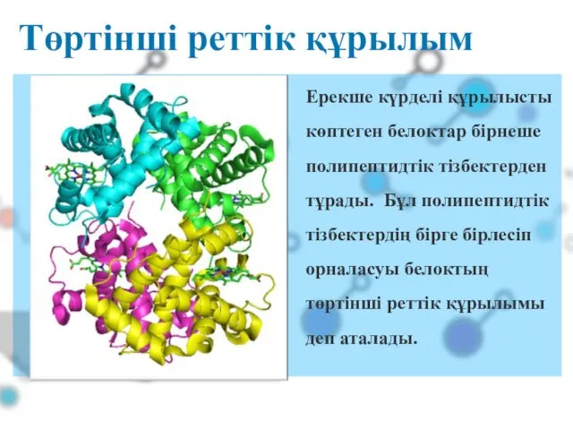 Төртінші реттік құрылым Ерекше күрделі құрылысты көптеген белоктар бірнеше полипептидтік