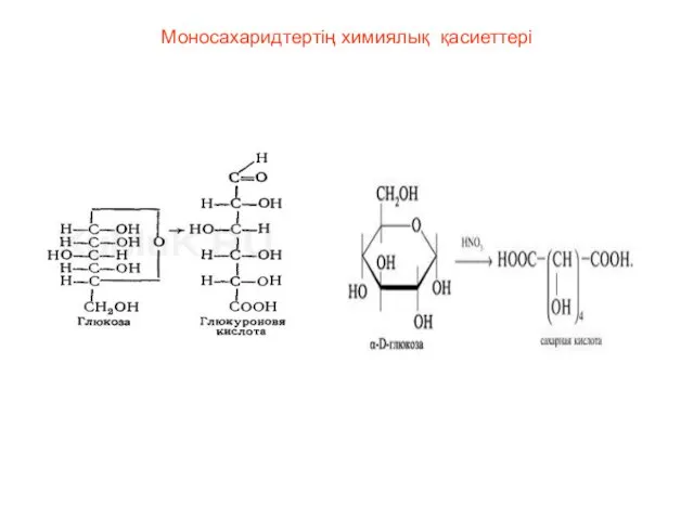 Моносахаридтертің химиялық қасиеттері