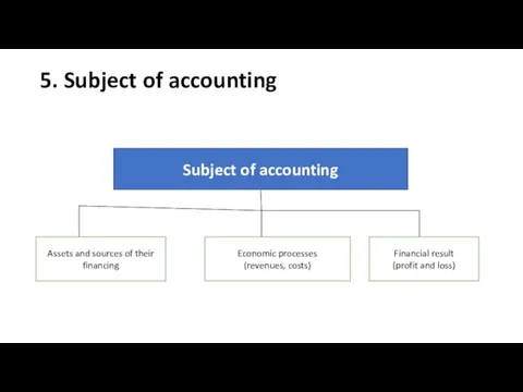 5. Subject of accounting Subject of accounting Assets and sources