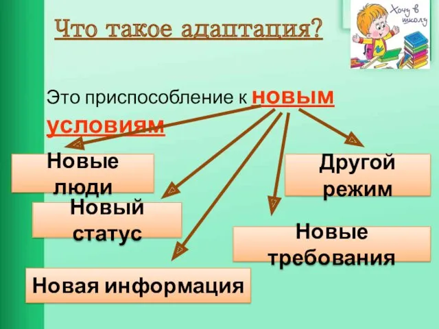 Что такое адаптация? Это приспособление к новым условиям Новая информация