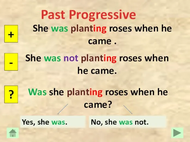 Past Progressive She was planting roses when he came .