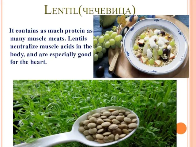 Lentil(чечевица) It contains as much protein as many muscle meats.