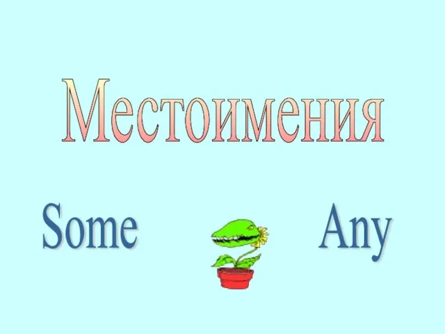 Местоимения Some Any