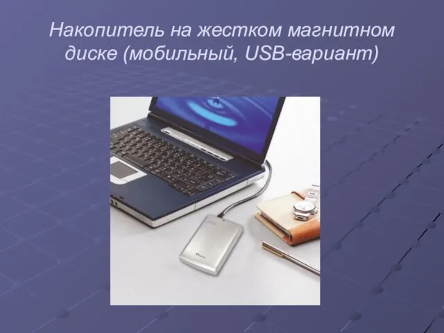 Накопитель на жестком магнитном диске (мобильный, USB-вариант)