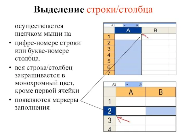 Выделение строки/столбца осуществляется щелчком мыши на цифре-номере строки или букве-номере