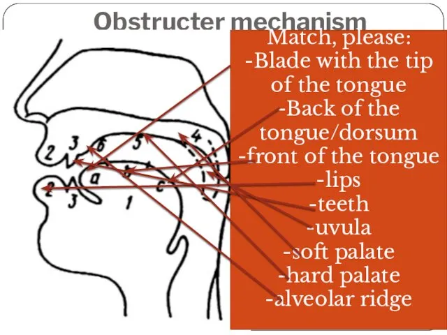 Obstructer mechanism Match, please: -Blade with the tip of the
