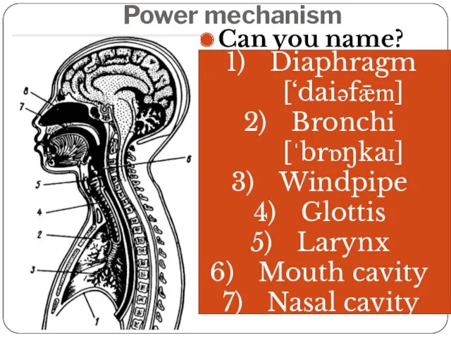 Power mechanism Can you name? 1 2 3 4 5