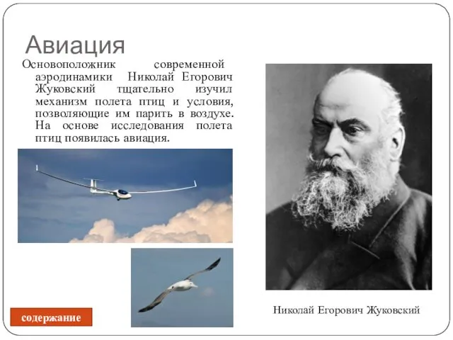 Авиация Основоположник современной аэродинамики Николай Егорович Жуковский тщательно изучил механизм