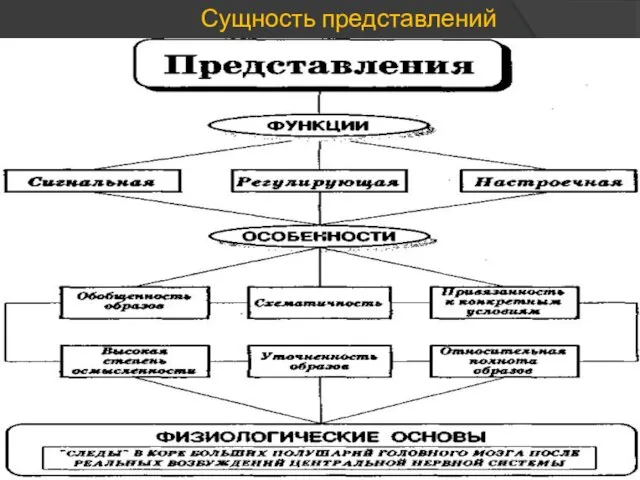 Сущность представлений